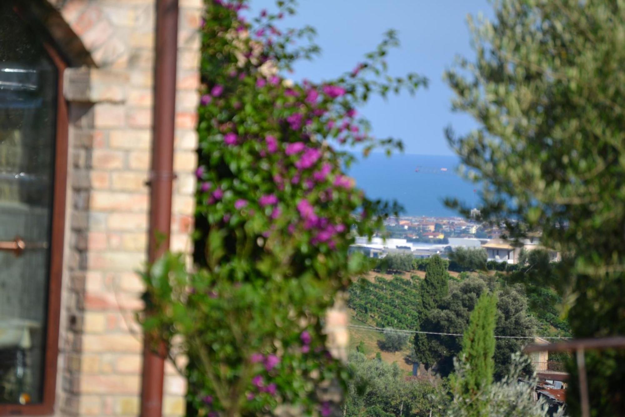 מונטפרנדונה Agriturismo Il Sapore Della Luna מראה חיצוני תמונה
