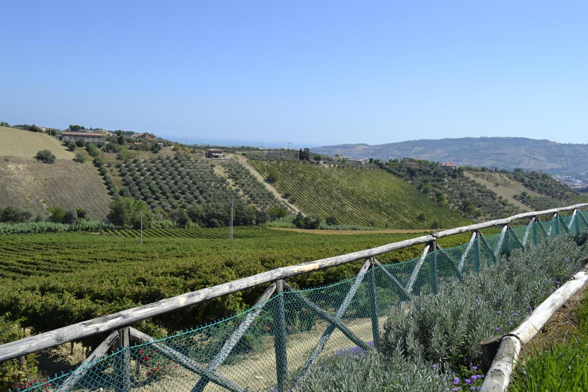 מונטפרנדונה Agriturismo Il Sapore Della Luna מראה חיצוני תמונה